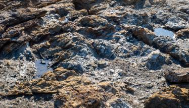 Τεκτονική επαφή-επώθηση