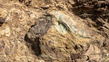 Τεκτονική επαφή-επώθηση