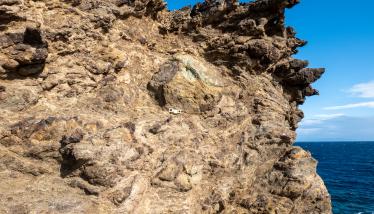 Τεκτονική επαφή-επώθηση