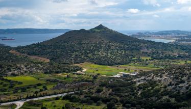 Μεταβασίτες (μεταοφιόλιθοι)