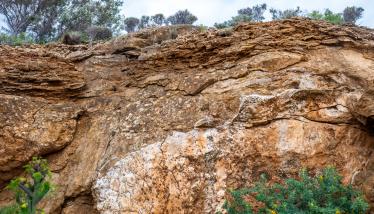 Ανακρυσταλλωμένοι ασβεστόλιθοι της «Σειράς Πλάκας»