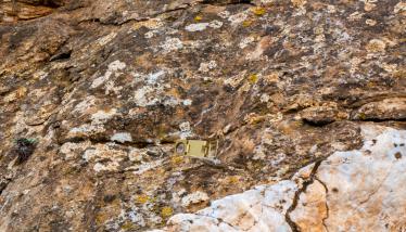 Ανακρυσταλλωμένοι ασβεστόλιθοι της «Σειράς Πλάκας»