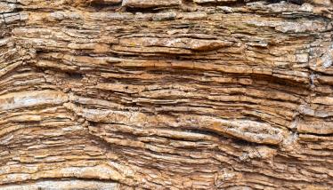 Ανακρυσταλλωμένοι ασβεστόλιθοι της «Σειράς Πλάκας»