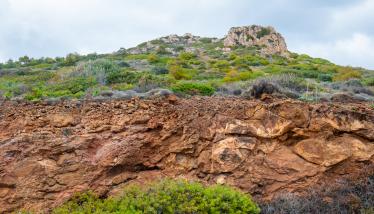 Τεκτονική επαφή