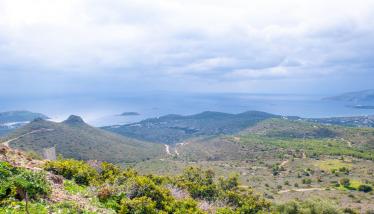 Μεταβασίτες-μεταοφιόλιθοι