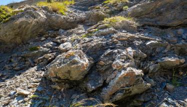 Σχιστόλιθοι Σειράς Πλάκας