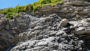 Σχιστόλιθοι Σειράς Πλάκας
