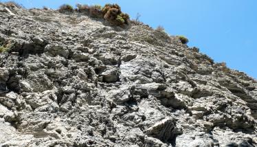 Σχιστόλιθοι Σειράς Πλάκας