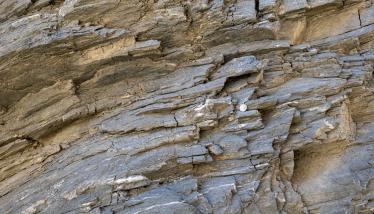 Σχιστόλιθοι Σειράς Πλάκας