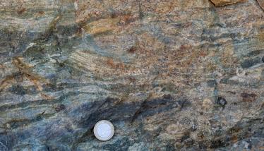 Κερατίτης ή «Πλακίτης» Πλάκας