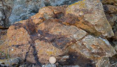 Κερατίτης ή «Πλακίτης» Πλάκας