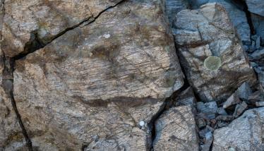 Κερατίτης ή «Πλακίτης» Πλάκας