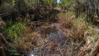 Αρχαία δεξαμενή ύδατος