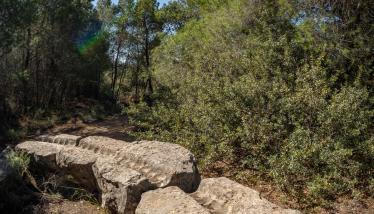 Συγκρότημα αρχαίων πλυντηρίων εμπλουτισμού μεταλλεύματος και δεξαμενές ύδατος