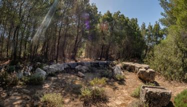 Συγκρότημα αρχαίων πλυντηρίων εμπλουτισμού μεταλλεύματος και δεξαμενές ύδατος