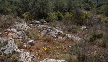 Κατώτερο Μάρμαρο «Σειράς Καμάριζας»